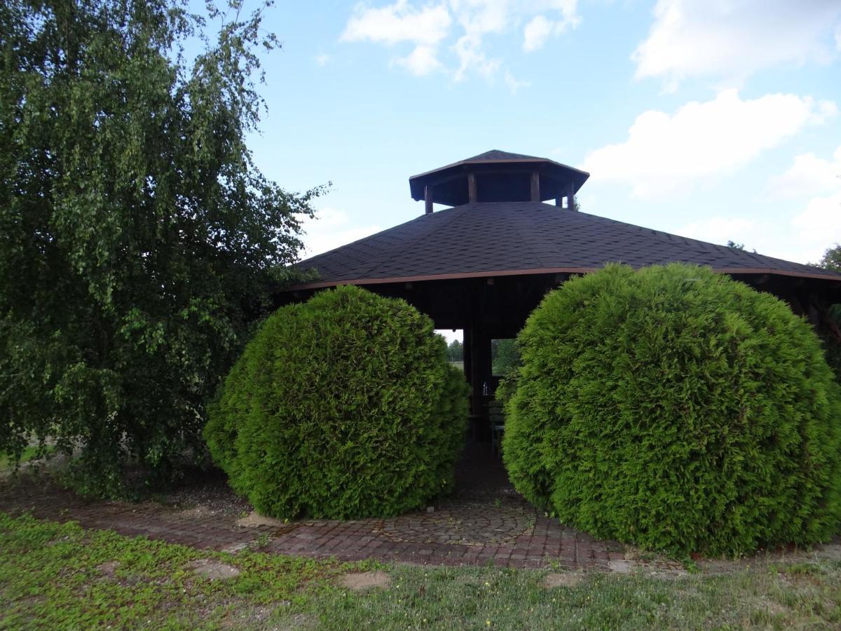 Gospodarstwo Agroturystyczne Zasadkowe Bory Rogowo  Exterior foto